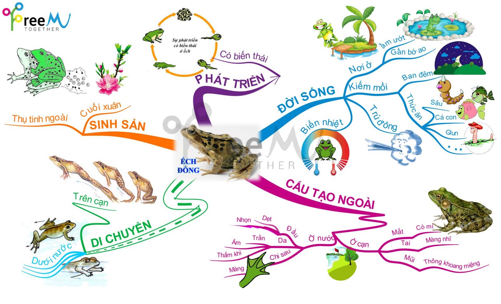 Gia sư dạy sinh